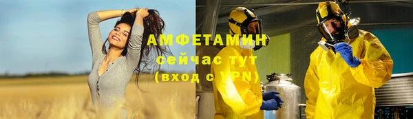 мет Арсеньев
