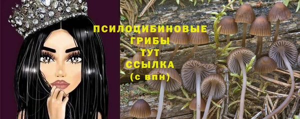 мет Арсеньев
