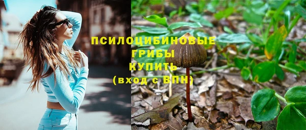 мет Арсеньев