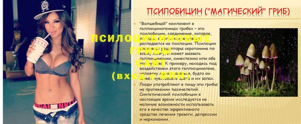 apvp Армянск
