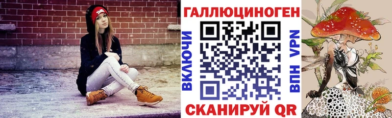 Галлюциногенные грибы Psilocybe  Арск 