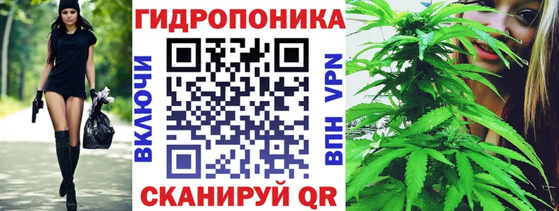 Конопля Amnesia  купить закладку  Арск 